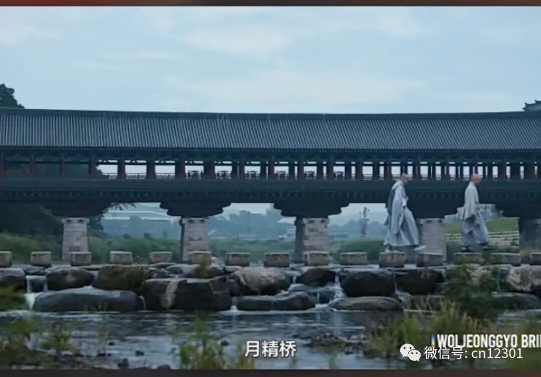 配图16