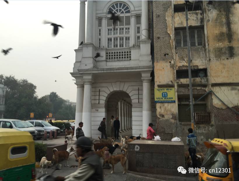 前世的五百次回眸——风起青萍言谈之八