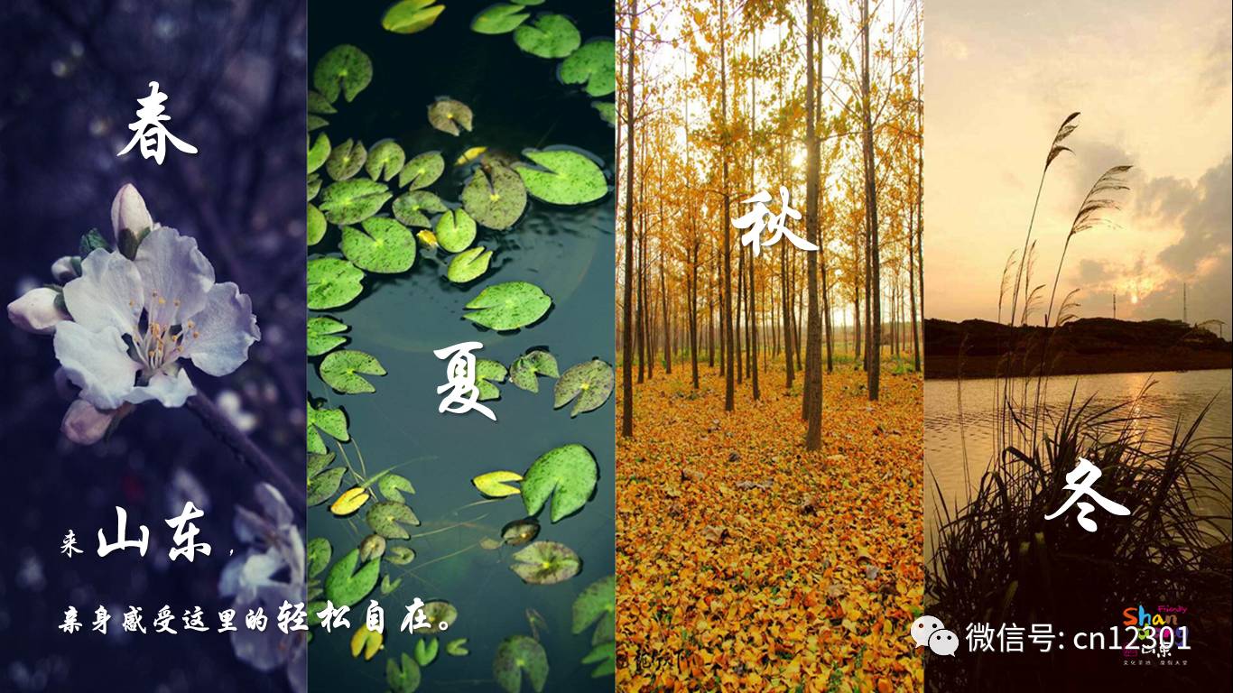 山东的秋天就装在这八天里——风起青萍言谈之二十三
