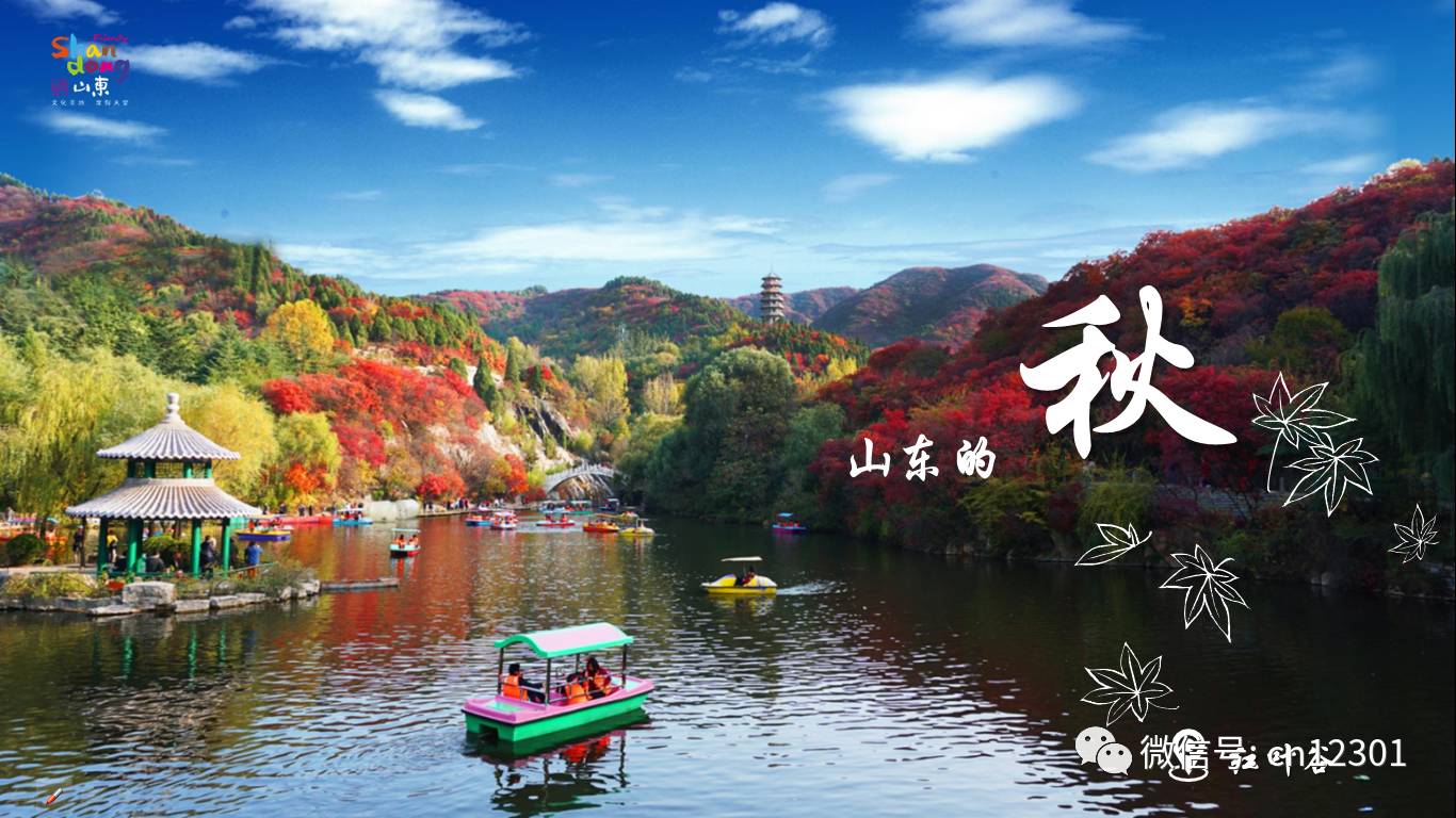 山东的秋天就装在这八天里——风起青萍言谈之二十三