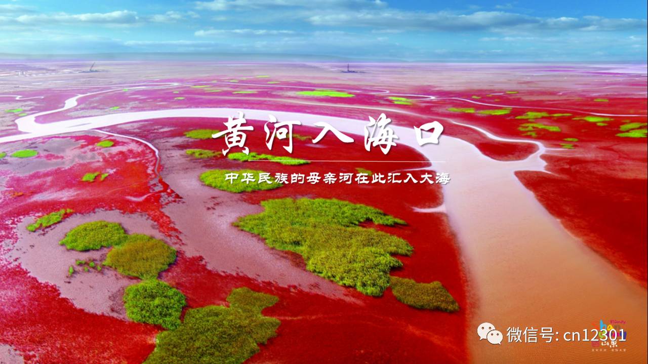 山东的秋天就装在这八天里——风起青萍言谈之二十三