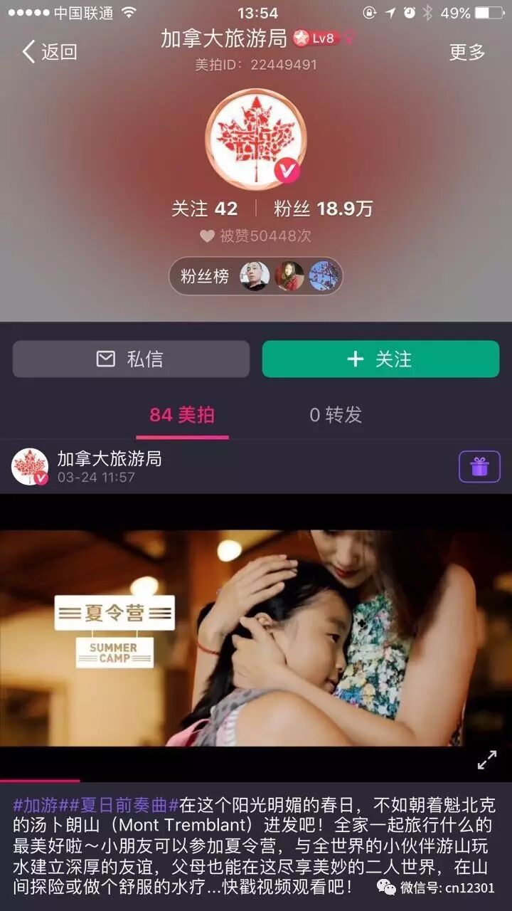 看一眼就怀孕和第五个烧饼——风起青萍言谈之九