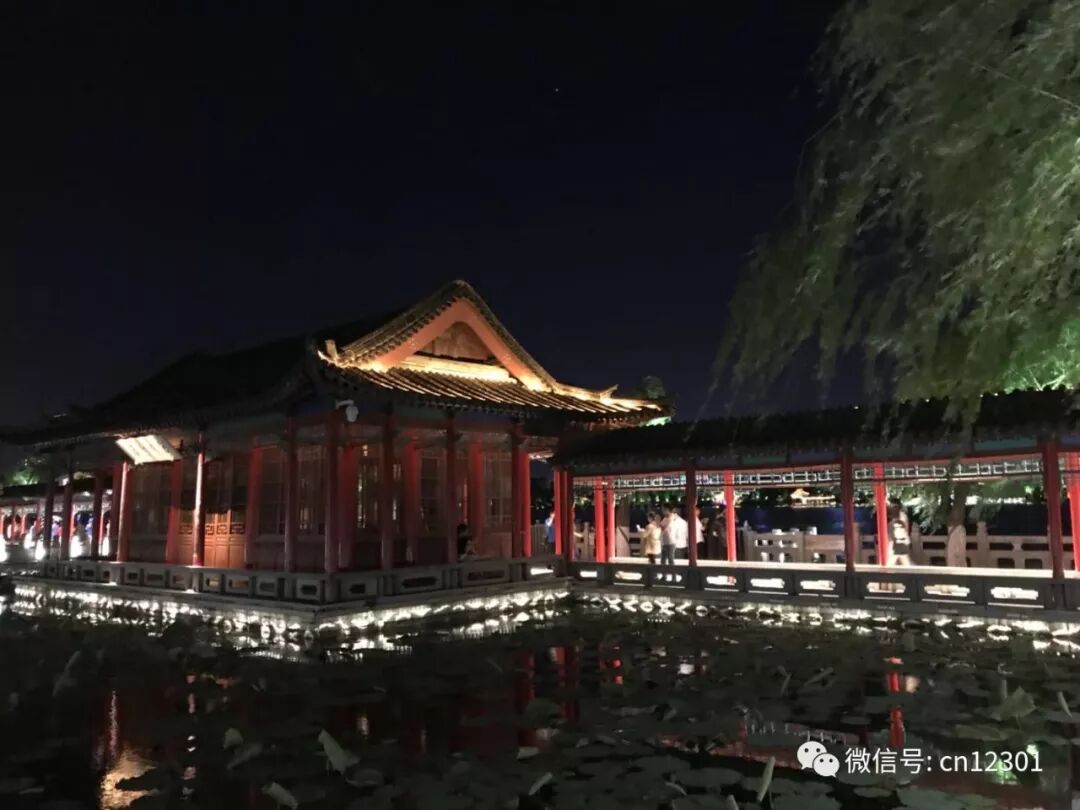 一夜和八千年——风起青萍言谈之四十七