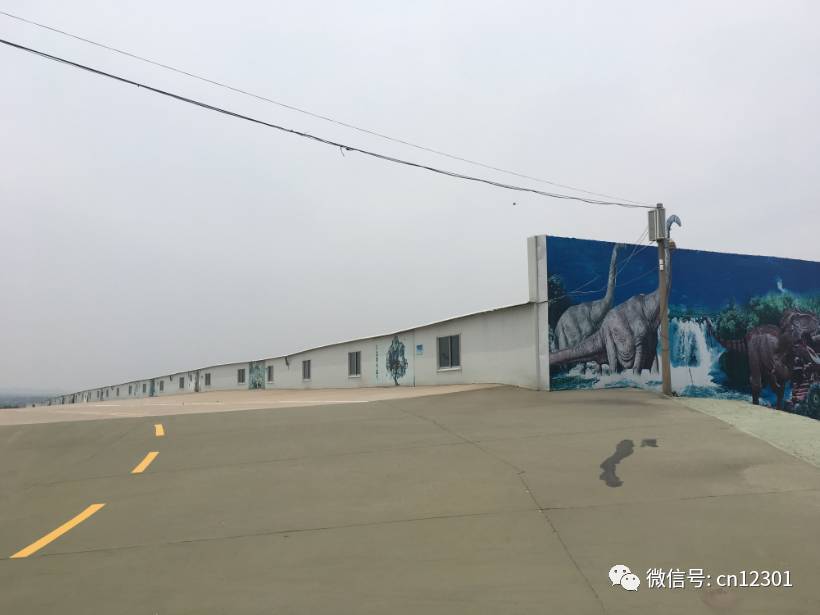 恐龙是怎样灭绝的——风起青萍言谈之十四
