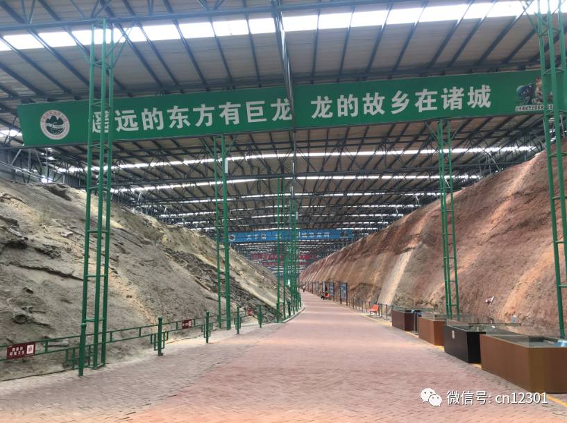 恐龙是怎样灭绝的——风起青萍言谈之十四