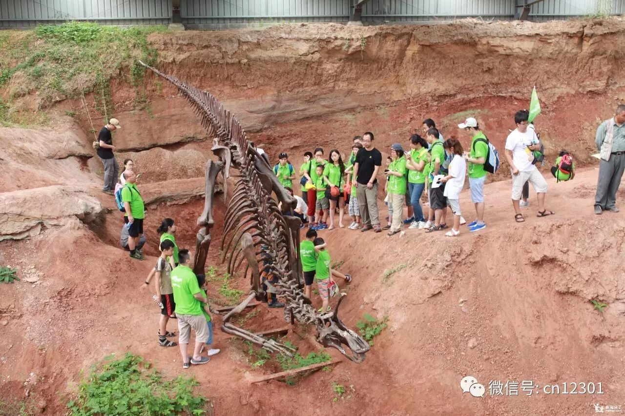 恐龙是怎样灭绝的——风起青萍言谈之十四