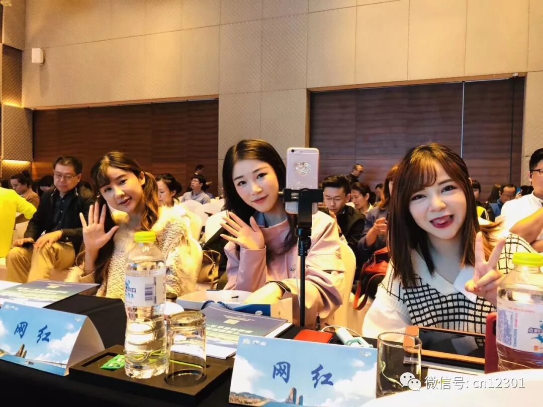 一个省级目的地旅游营销方案——风起青萍言谈之七十五