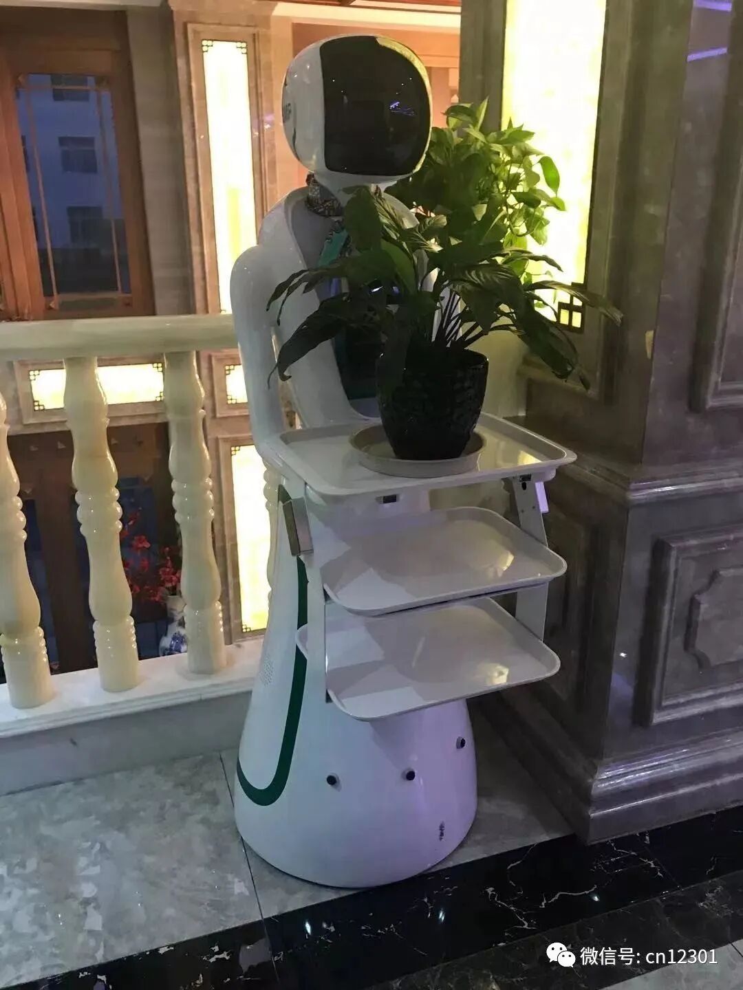 餐厅里的秋波——风起青萍言谈之九十