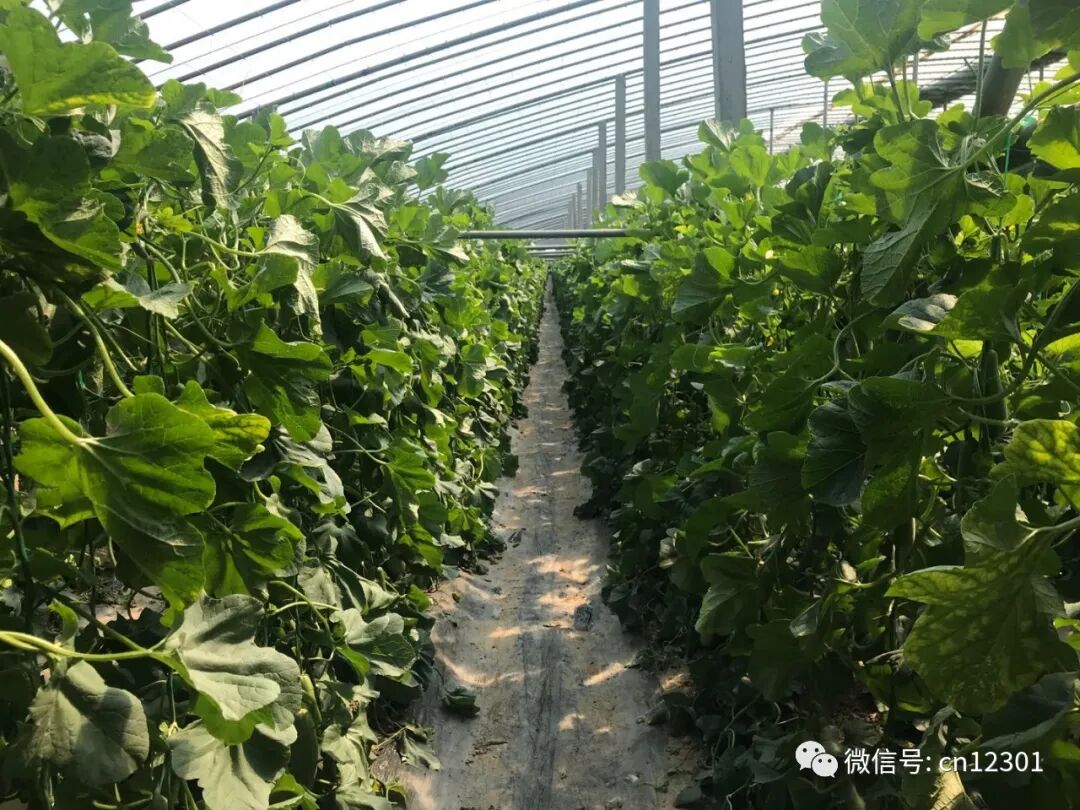旅行社做点什么以及为旅行社做点什么——风起青萍言谈之九十五