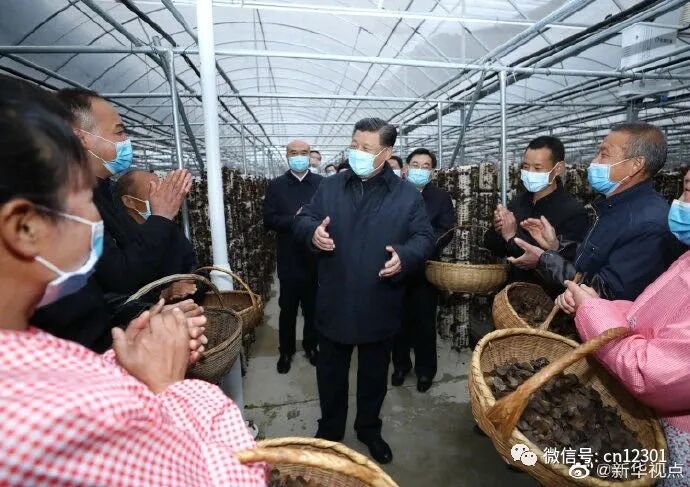 旅行社做点什么以及为旅行社做点什么——风起青萍言谈之九十五
