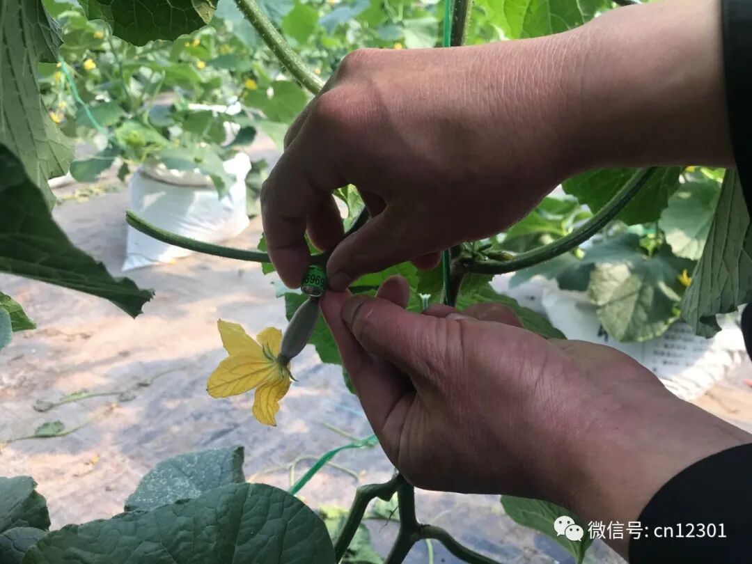 旅行社做点什么以及为旅行社做点什么——风起青萍言谈之九十五