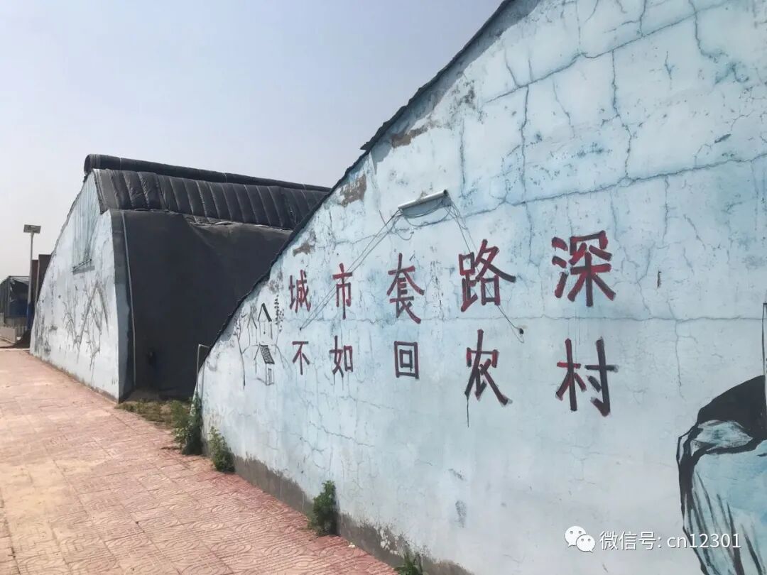 留得青山,赢得未来——风起青萍言谈之九十六