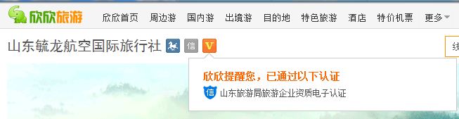 还有二十天，不然就罚CEO二万元——旅游信息化言论之三十八