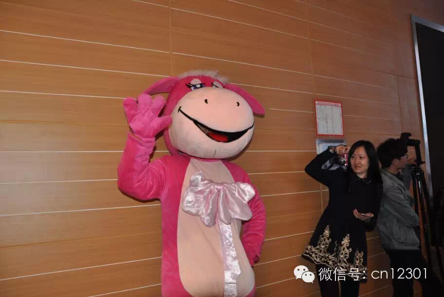 看图说泰山会盟干货——旅游信息化言论之八十六