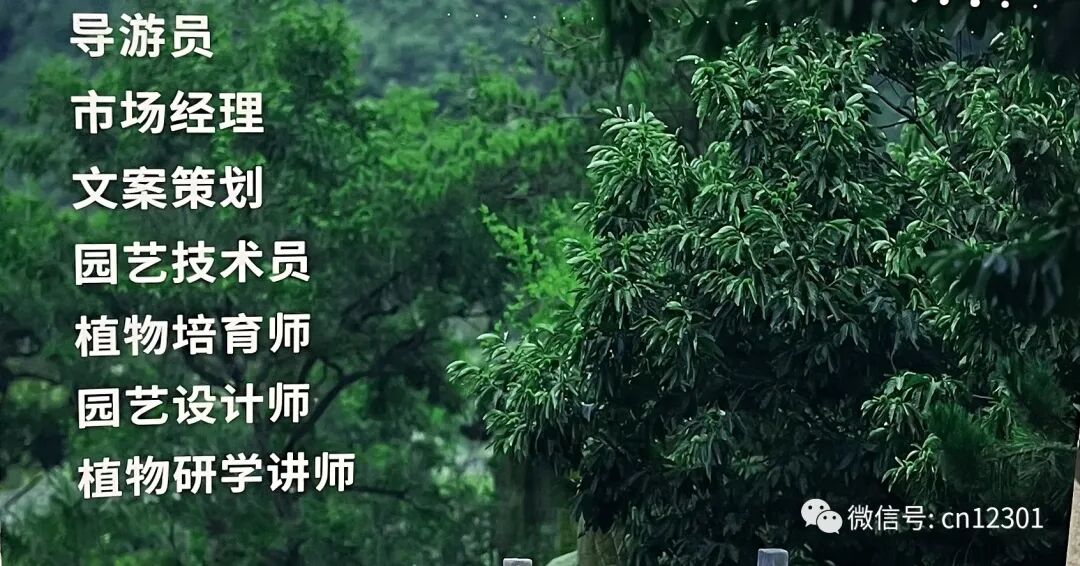 配图15