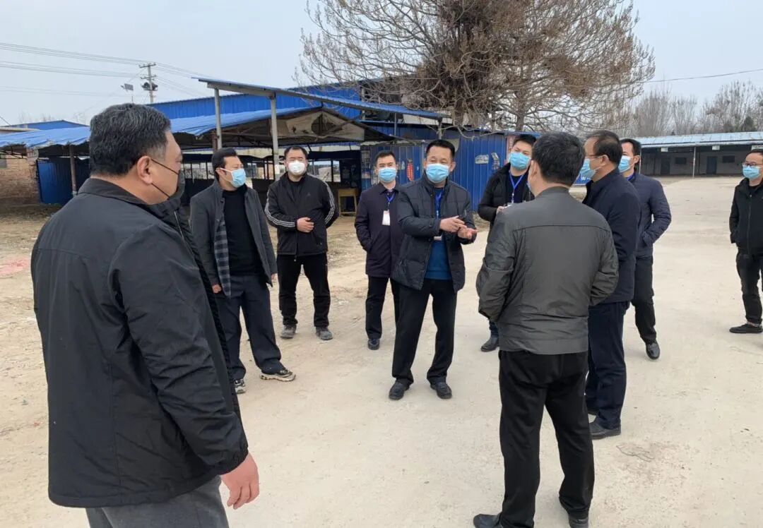 干部“四进”齐攻坚,深耕洒汗在莘县
