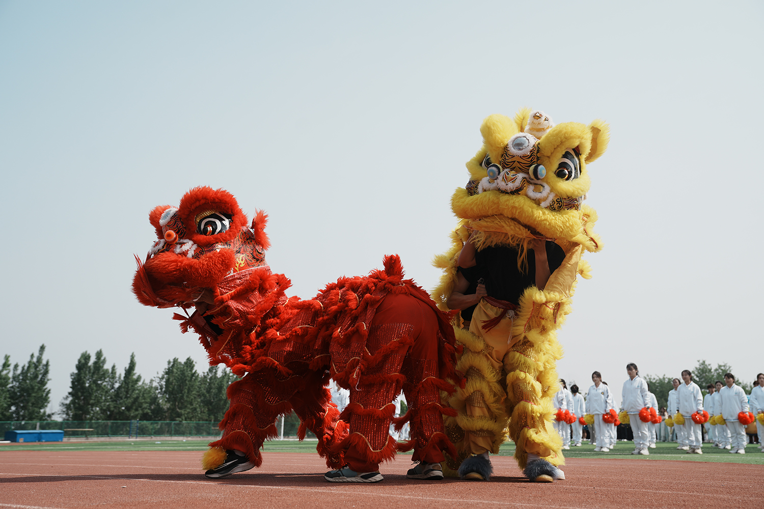 闫向军讲话