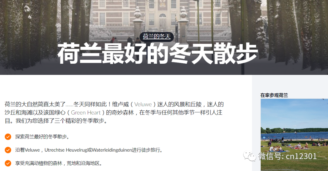 配图11