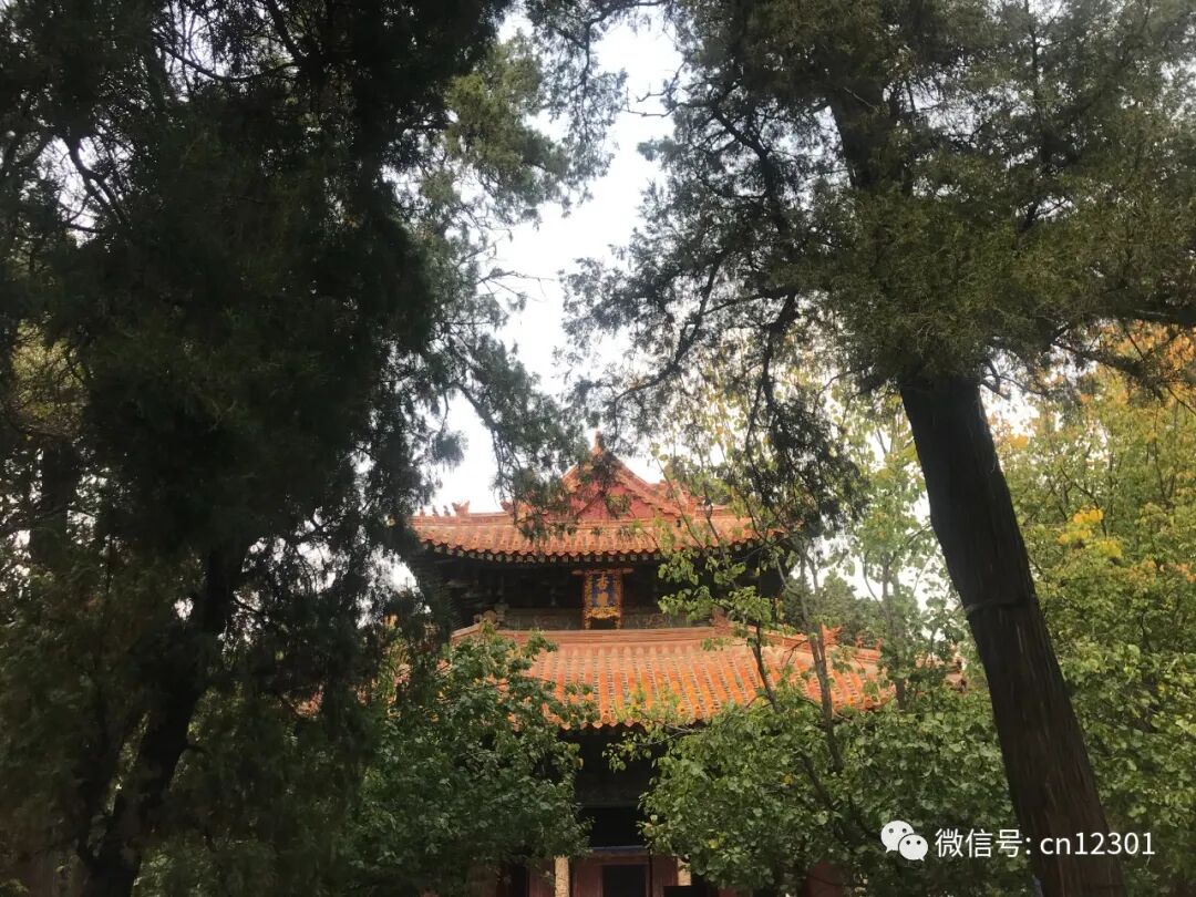 配图1