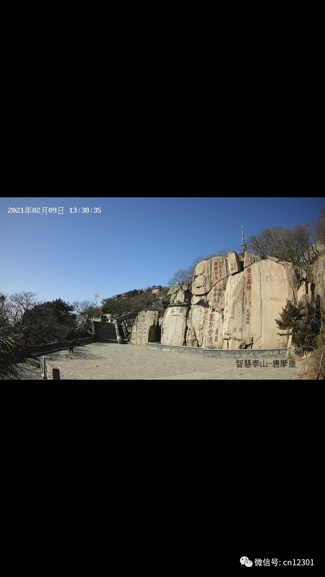 配图17