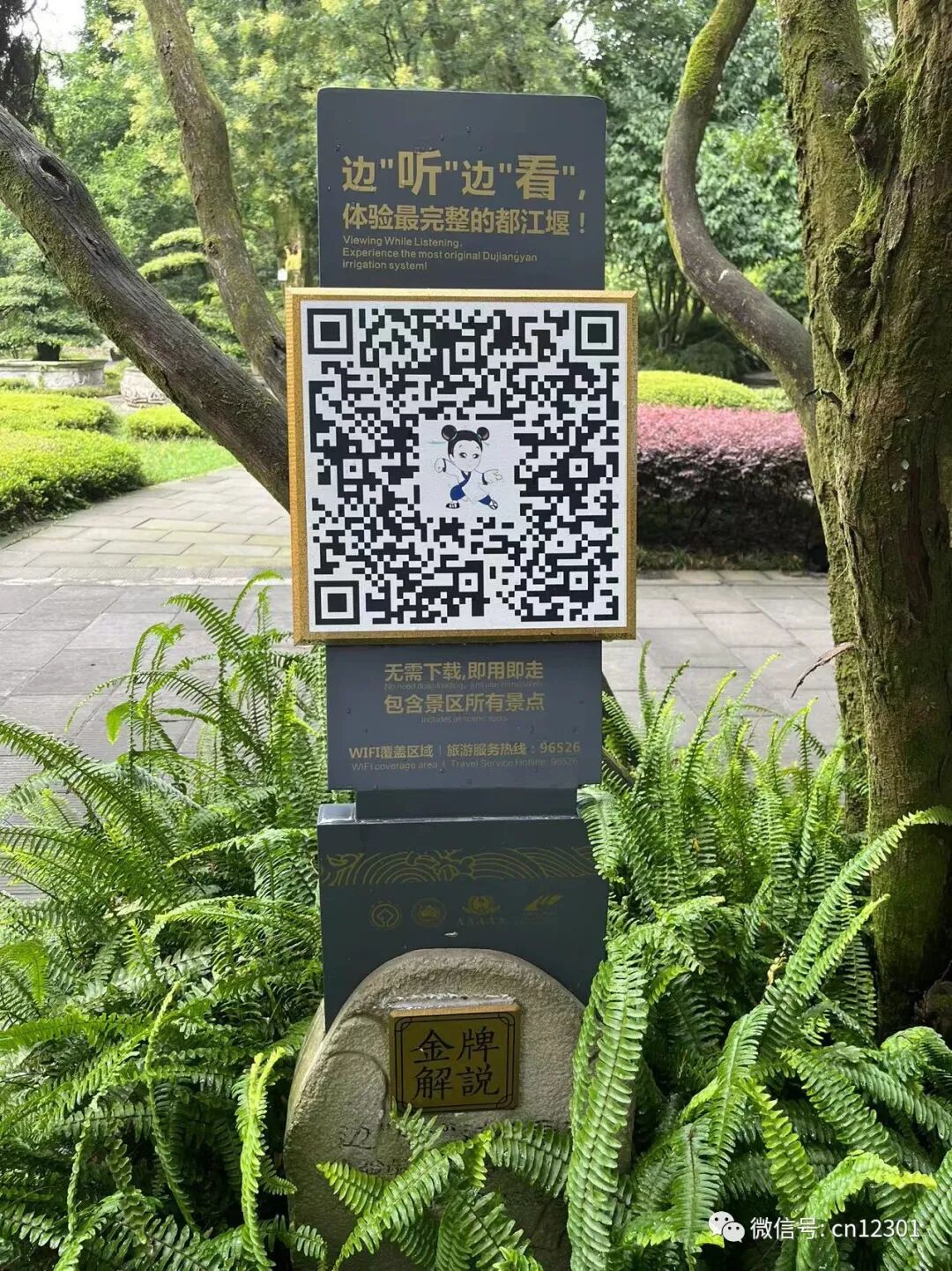 配图17